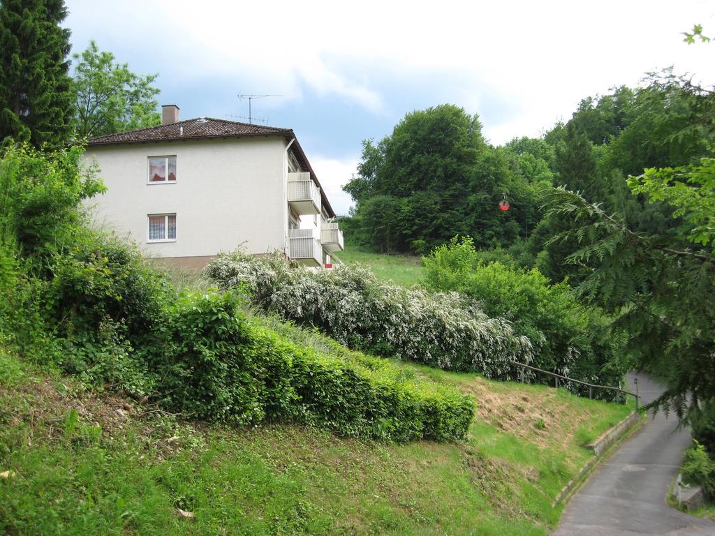 Schlossberg Ferienwohnung Waldeck  Exterior photo